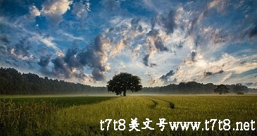 培根随笔摘抄（培根随笔摘抄300字）