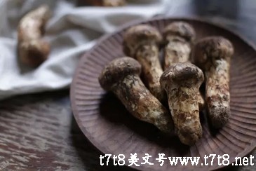 台湾甜象草种植的方法